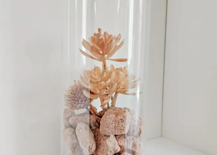 Fuoriporta Affitti Brevi - Petit Jardin Apartment Parma